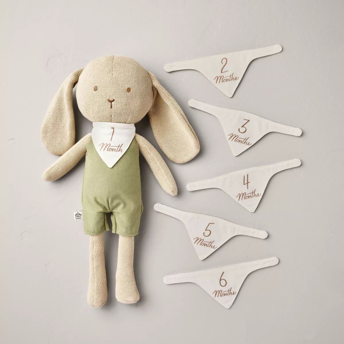 Newborn Milestone Knit Bunny 7pc - Hearth & Hand™ with Magnolia | Target