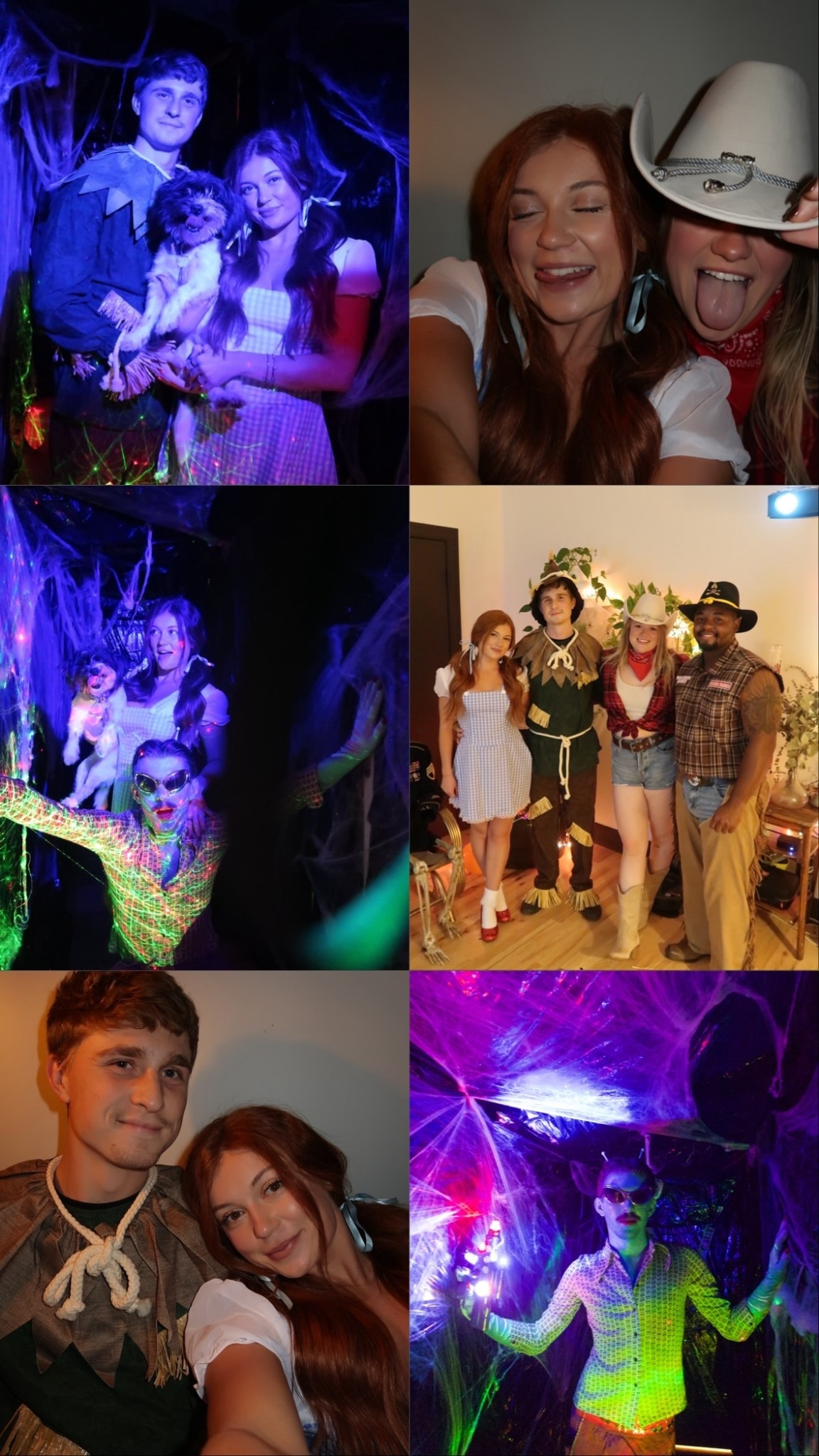 #LTKStyleTip #LTKPetite #LTKSeasonal