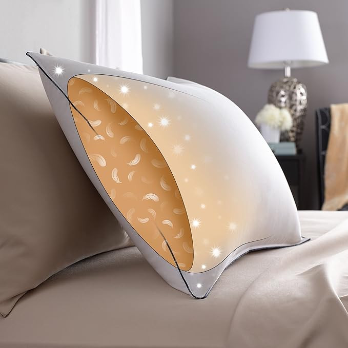 Pacific Coast DownAround Pillow 300 Thread Count 550 Fill Power Down & Resilia Feathers - King | Amazon (US)
