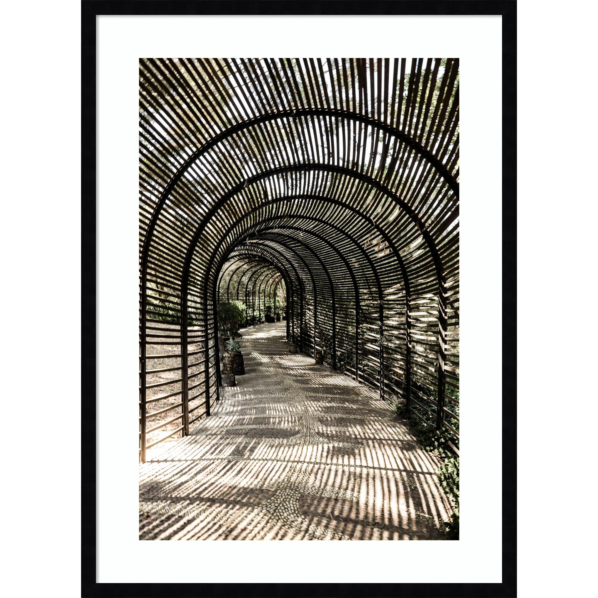 Shadow Garden by Shot by Clint Wood Framed Wall Art Print | Joss & Main