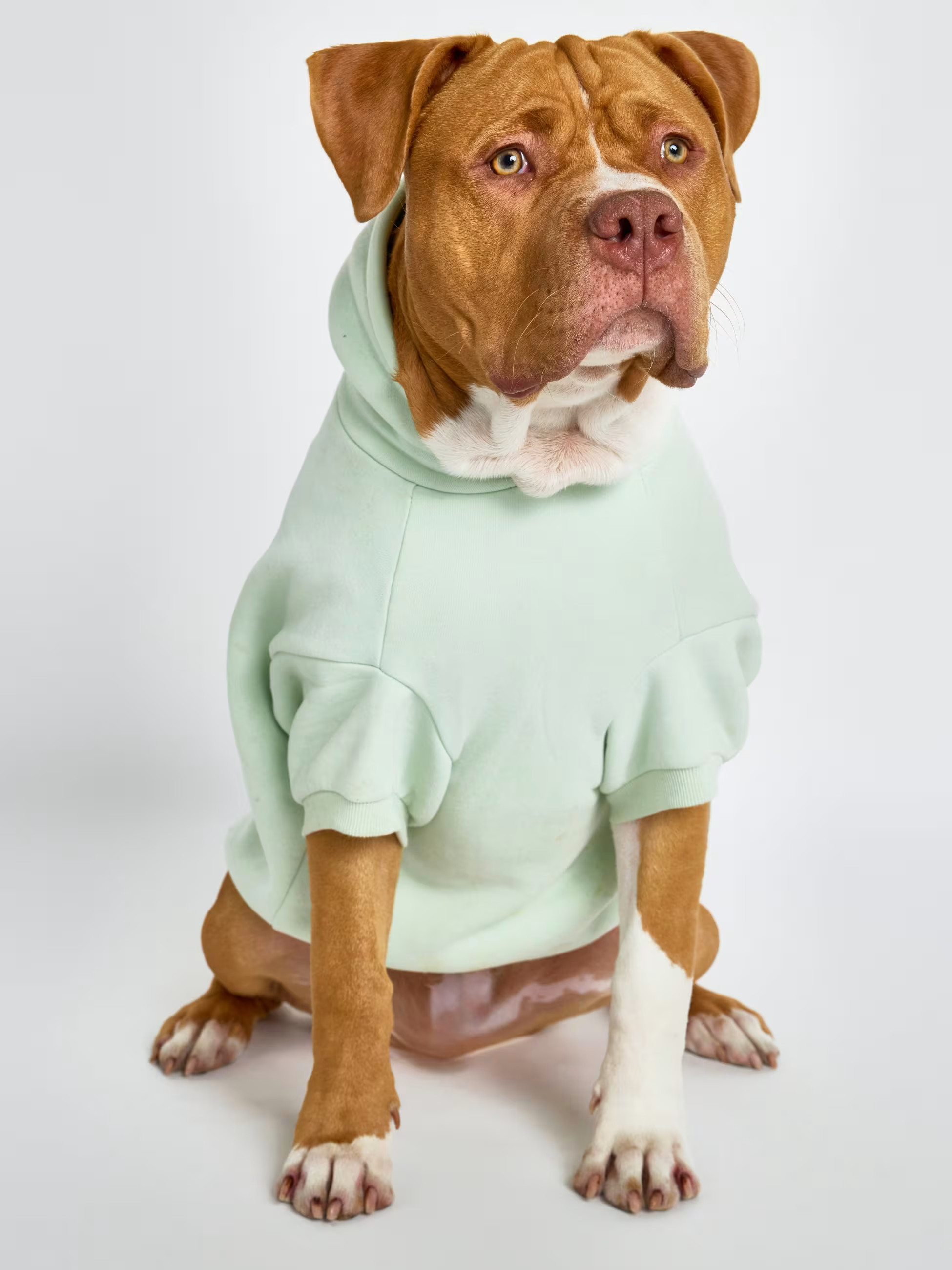 Pastel Paw Hoodie — Comfrt | Comfrt