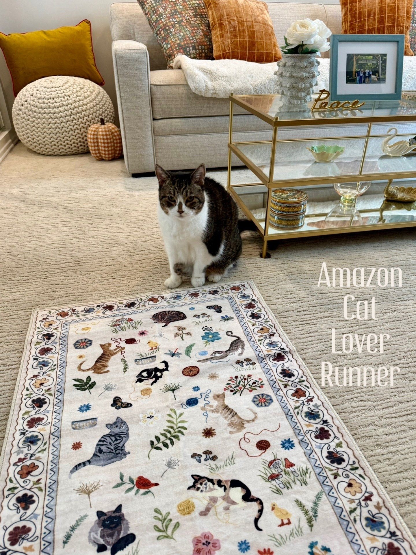 Cutest Cat Runner! 

#LTKOver40 #LTKHome #LTKSaleAlert