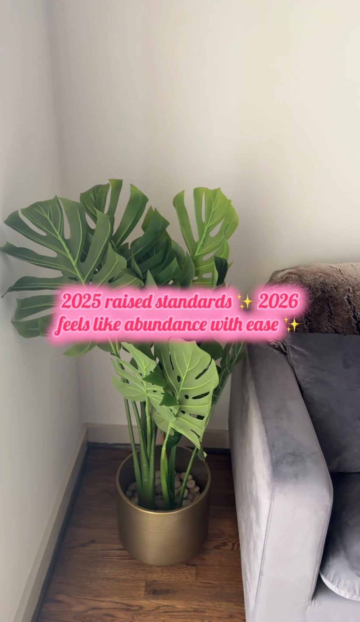 2025 raised standards ✨2026 feels like abundance with ease ✨ #glowupera #2026goals #lachiccouture 