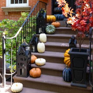Faux Pumpkins & Gourds | Pottery Barn (US)