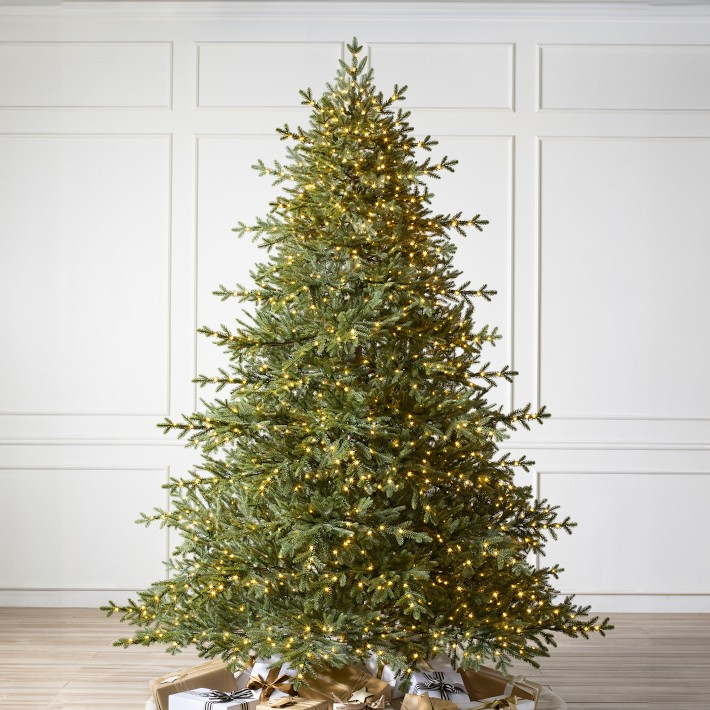 Balsam Hill Most Realistic Sugarland Pre-Lit Spruce Tree, 6.5'-9' | Williams-Sonoma