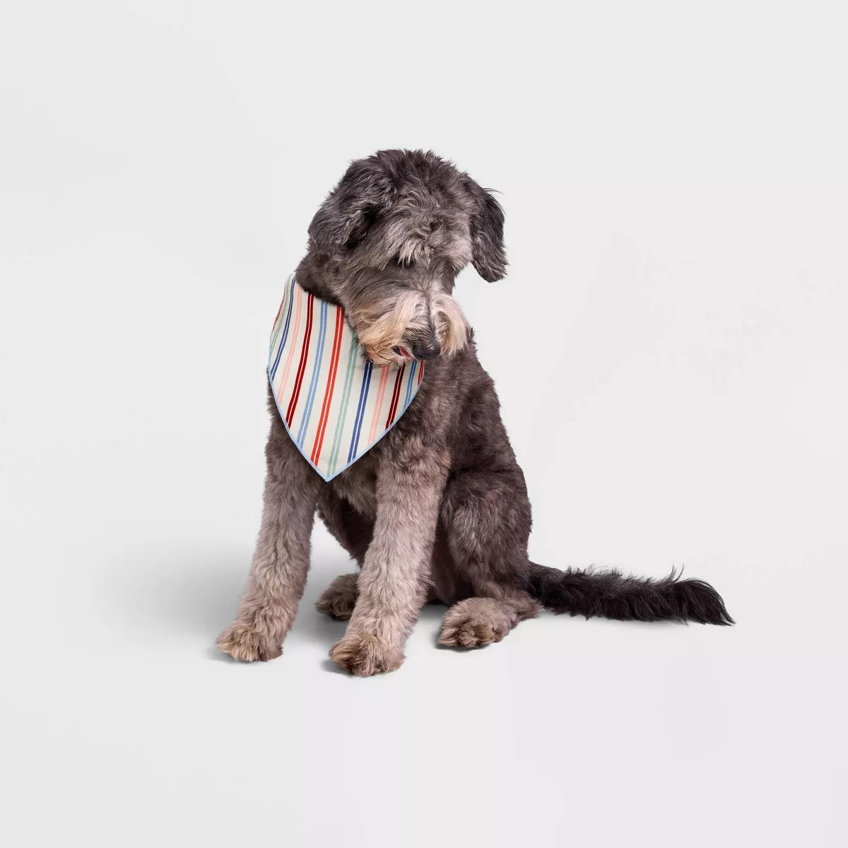 Multistripe Dog and Cat Bandana - Boots & Barkley™ One Size Fits Most | Target