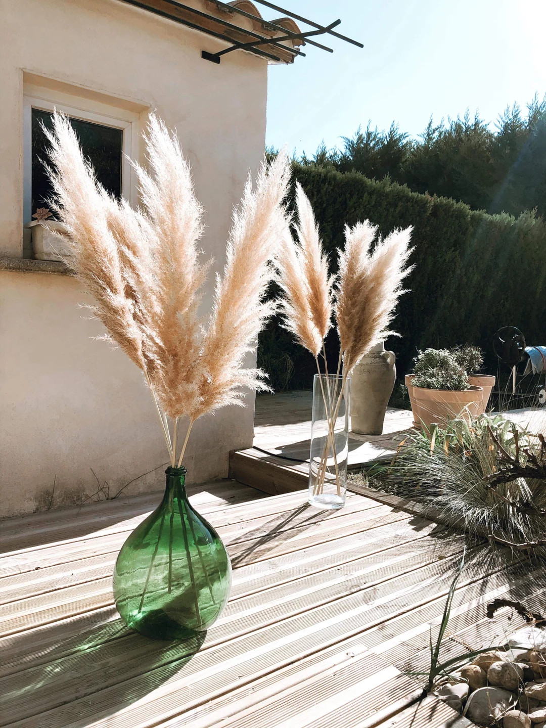 Natural Dried Pampas 90cm to 110/115cm - Etsy | Etsy (US)
