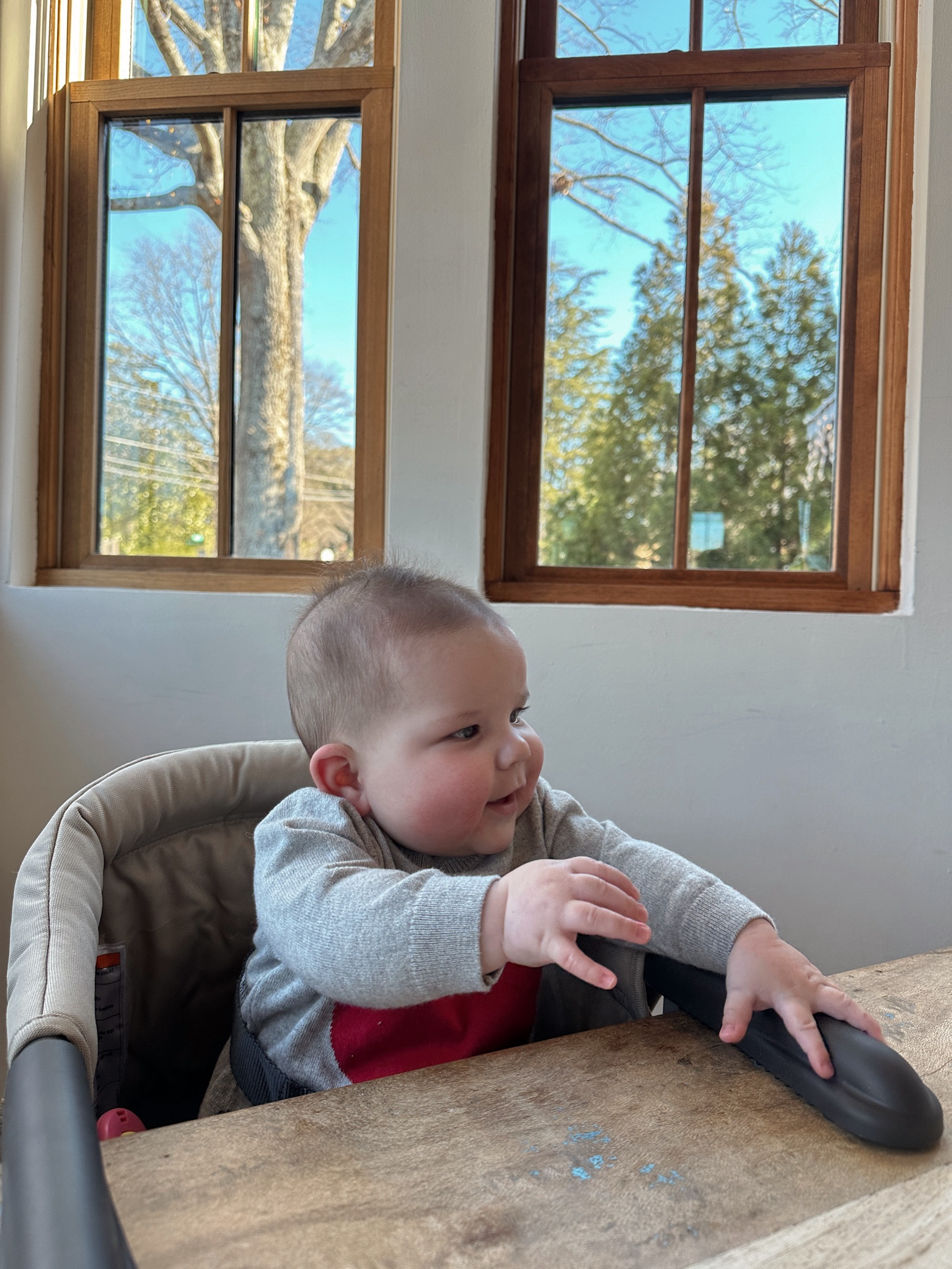 Love this chair for on the go! Hooks right onto the table/island!

#LTKKids #LTKFamily #LTKBaby