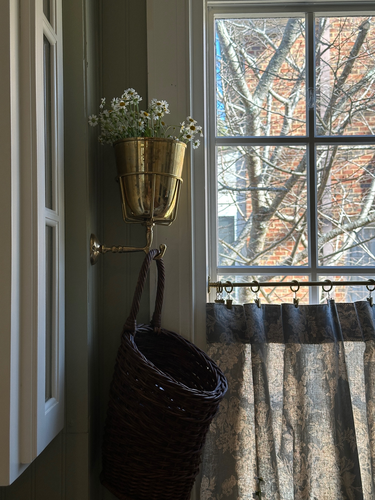 A pop of small daisies in the kitchen🌼

#LTKHome