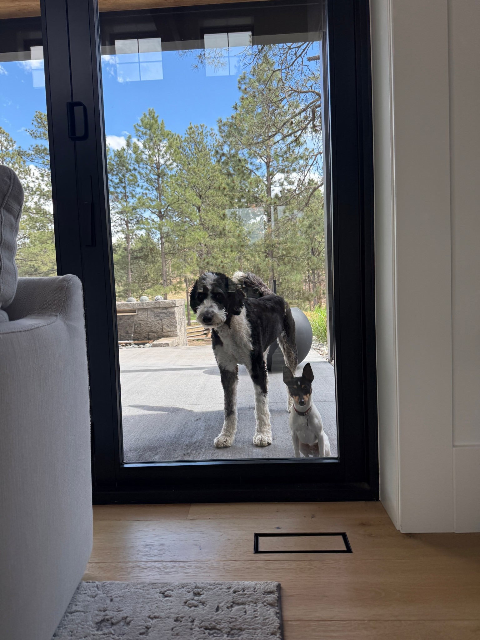 These pups would play outside all day if they could. Sharing some outdoor furniture that is similar to the pieces that we got from RH that cannot be linked.

#LTKSeasonal #LTKdayinmylife #LTKHome