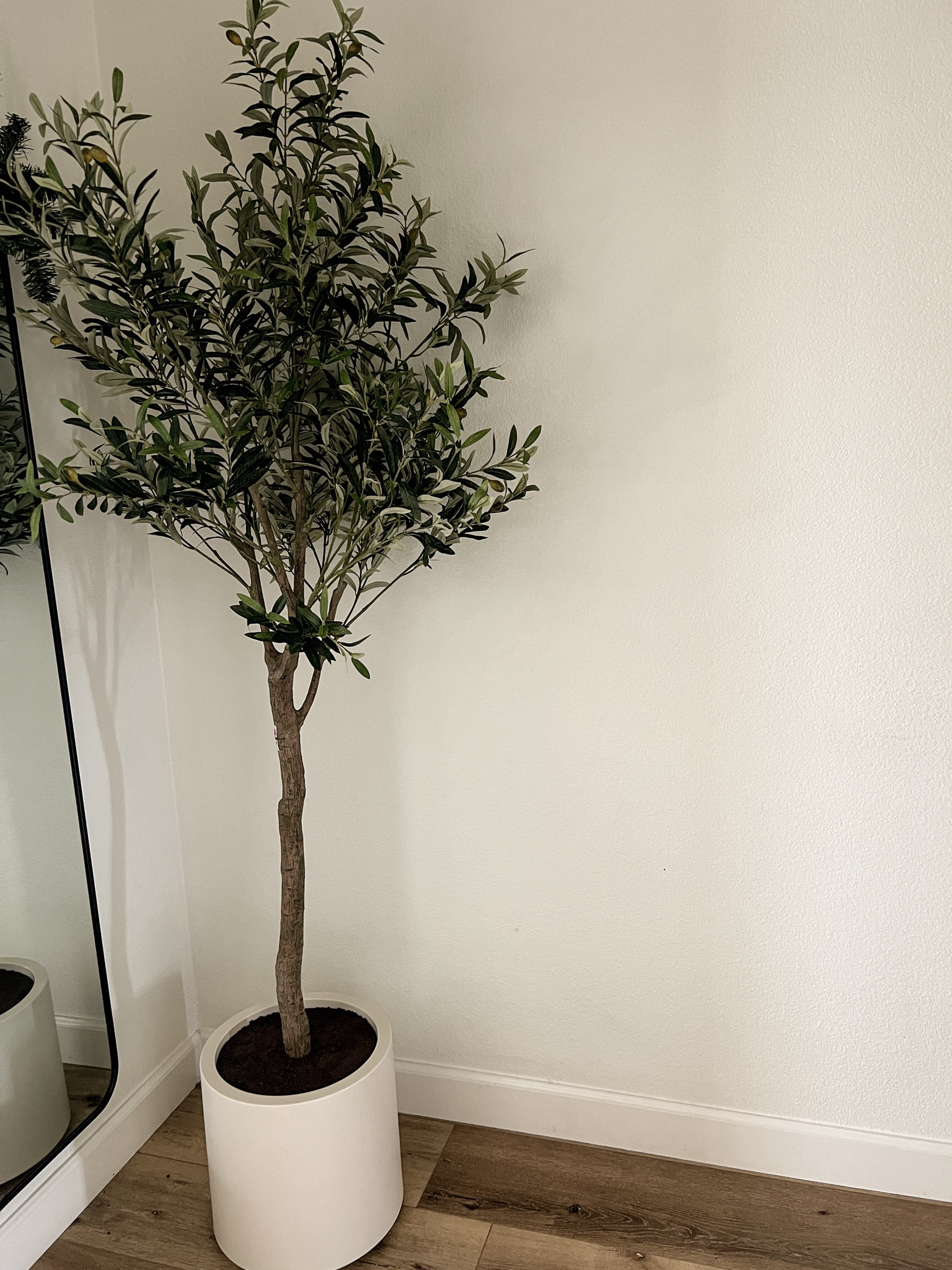 Olive tree 

* mine is from Costco and currently on sale! Linking similar options

xo, Sandroxxie by Sandra
www.sandroxxie.com | #sandroxxie


#LTKCyberWeek #LTKhome #LTKsalealert