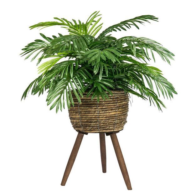 30&#34; x 18&#34; Artificial Phoenix Palm Plant in Basket Stand - LCG Florals | Target
