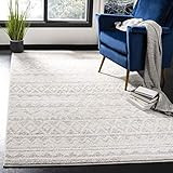 Safavieh Adirondack Collection ADR119B Ivory and Grey Area (6' x 9') Rug | Amazon (US)