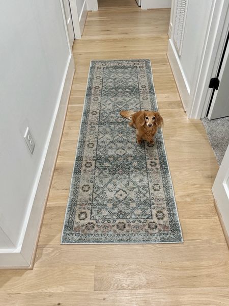Our new Loloi rug is perfect for this hallway! Such beautiful colors and still 78% off!

#LTKsalealert #LTKhome
