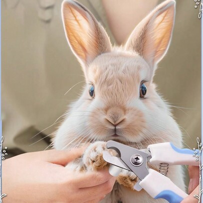 1 Peça Cortador de Unhas Profissional para Coelhos, Tesoura Lixadeira, Aço Inoxidável, Cortador de Garras de Filhote de Cachorro, Aparador de Unhas de | SHEIN