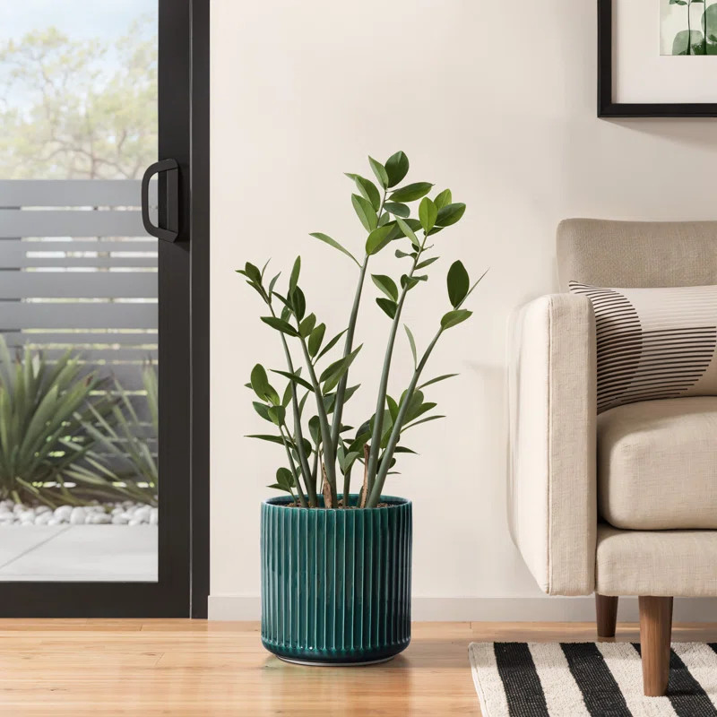 Jade Green Ribbed Round Ceramic Planter | Wayfair North America