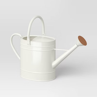 2gal Galvanized Sheet in New Powder Coated Finish Steel Watering Can Ivory - Threshold™ | Target