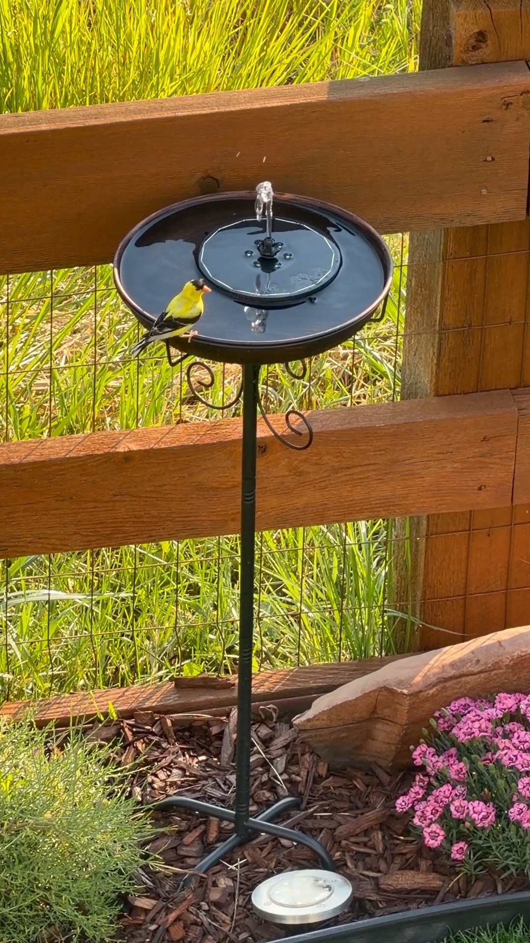 Bird bath and solar fountain.

#LTKSeasonal #LTKHome #LTKSaleAlert