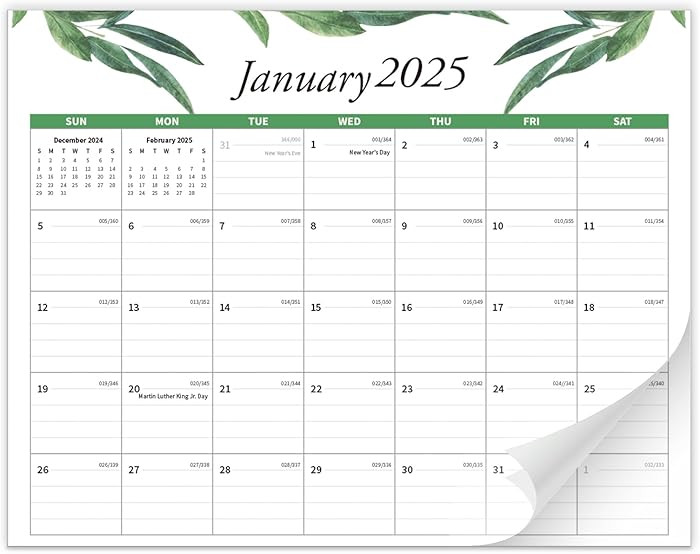Calendar 2025 - Magnetic Calendar for Fridge, Runs from January 2025 Until June 2026, refrigerato... | Amazon (CA)