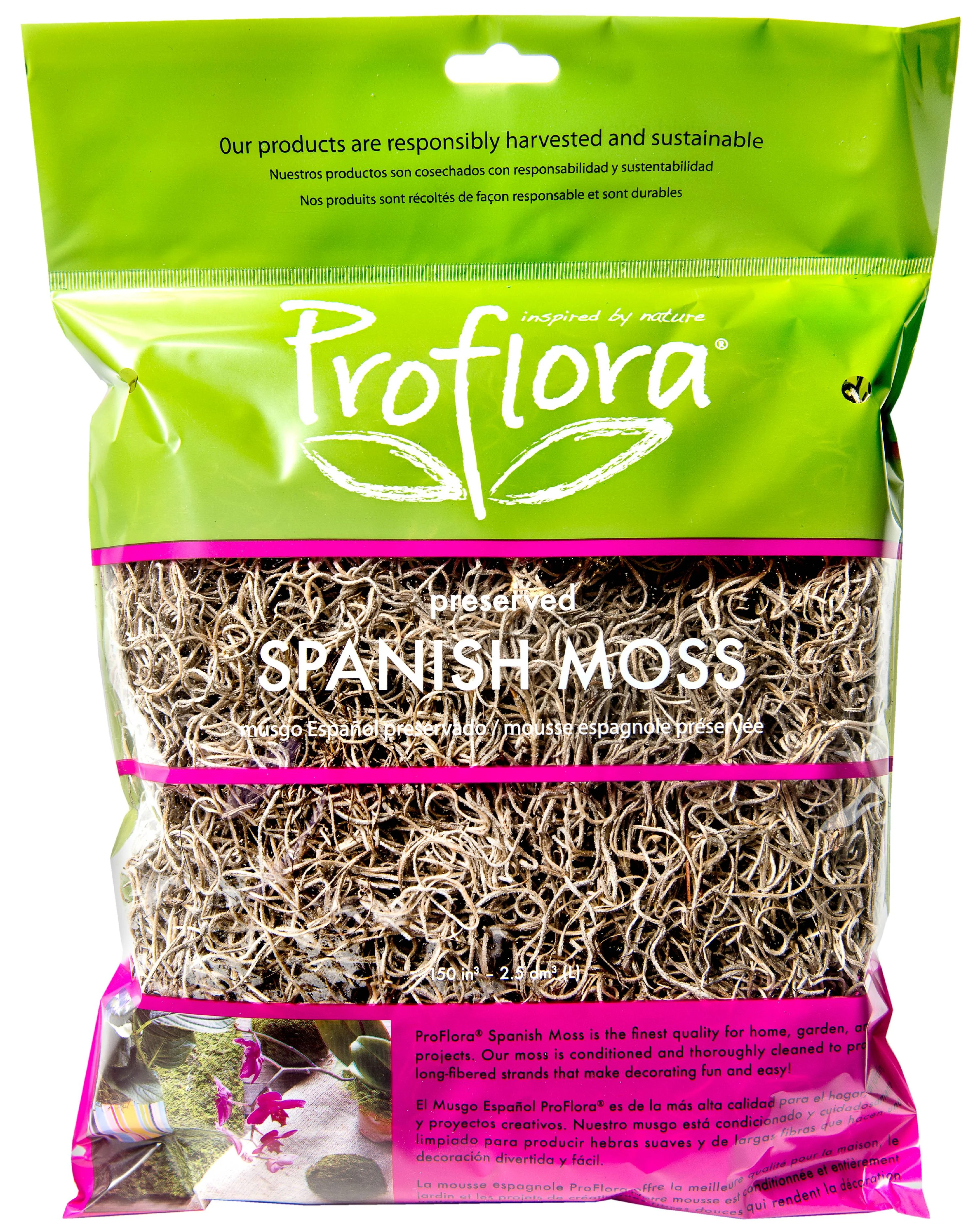 Spanish Natural Moss, 1 Each - Walmart.com | Walmart (US)