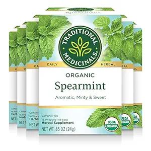 Traditional Medicinals Organic Spearmint Tea, Healthy & Refreshing, 16 Count (Pack of 6) | Amazon (US)