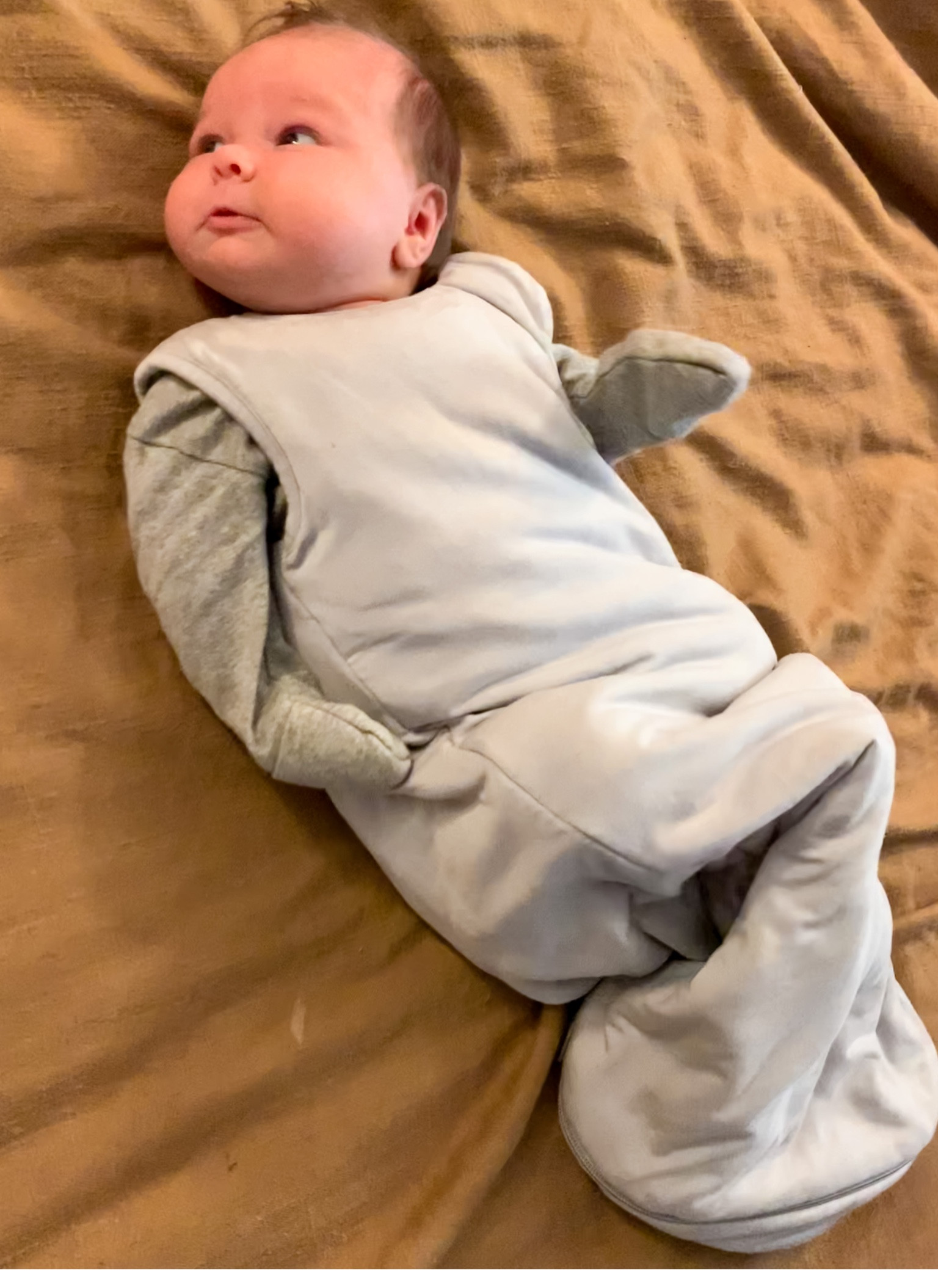 oh how I wish they made this sleepsack in mommy’s size 🤩 so soft & cozy! E is a big fan 

5 weeks old, wearing size S with so much room to grow! 


#LTKkids #LTKbaby #LTKSeasonal