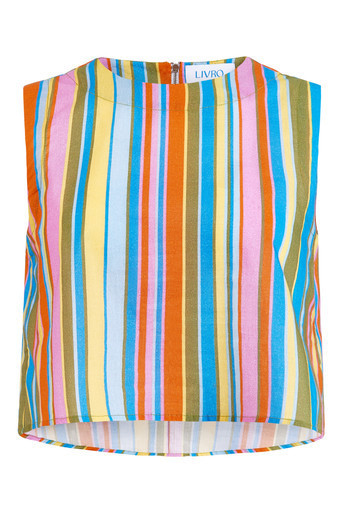 Livro Crop Top, Awning Stripes | Monkee's of Mount Pleasant