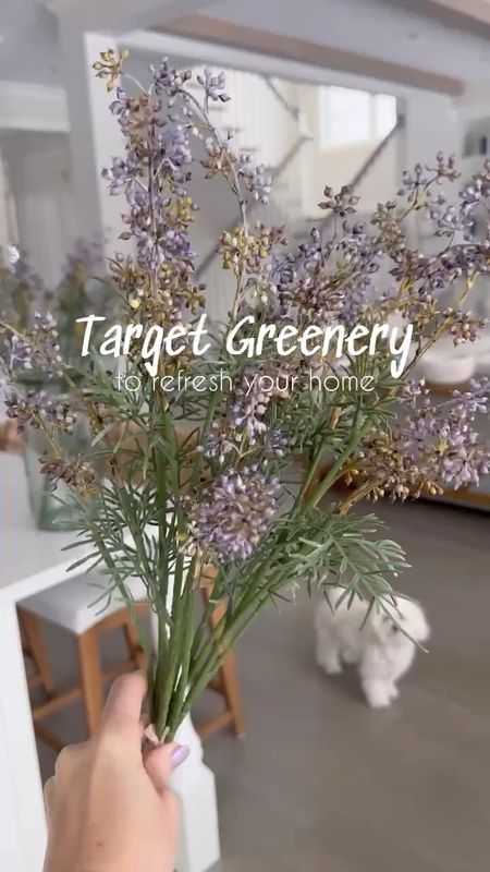 Pretty Target faux stems for your home!! So realistic and affordable!!

(6/15)

#LTKStyleTip #LTKHome #LTKVideo