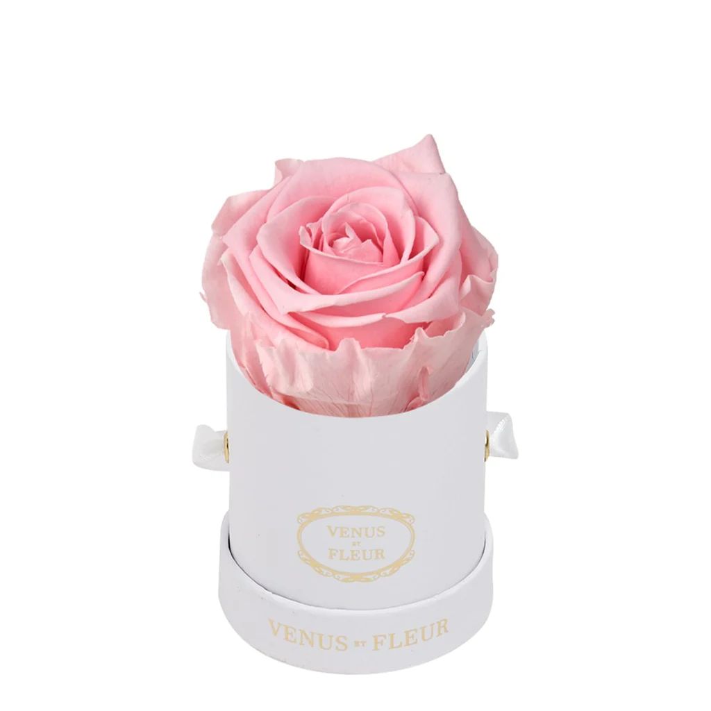 Le Mini Round - White Classic with Eternity Roses | Venus ET Fleur