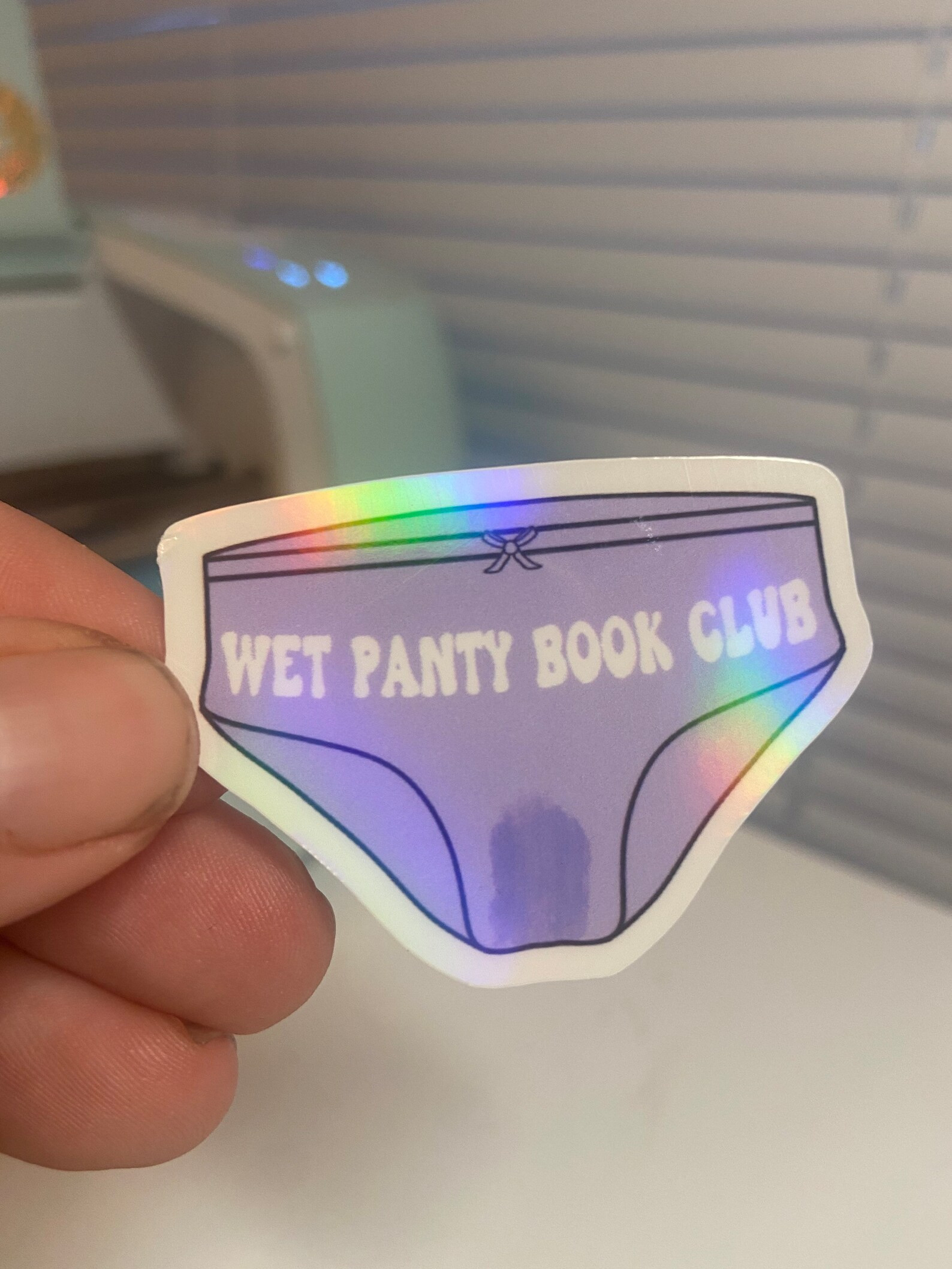 Wet Panty Book Club Sticker Smut Stickers Kindle Sticker - Etsy | Etsy (US)