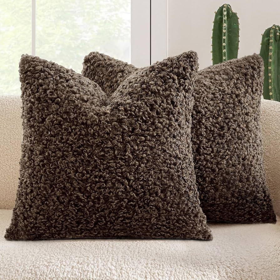 MIULEE Pack of 2 Throw Pillow Covers 24x24 Inch Neutral Chocolate Faux Fur Decorative Sherpa Pill... | Amazon (US)