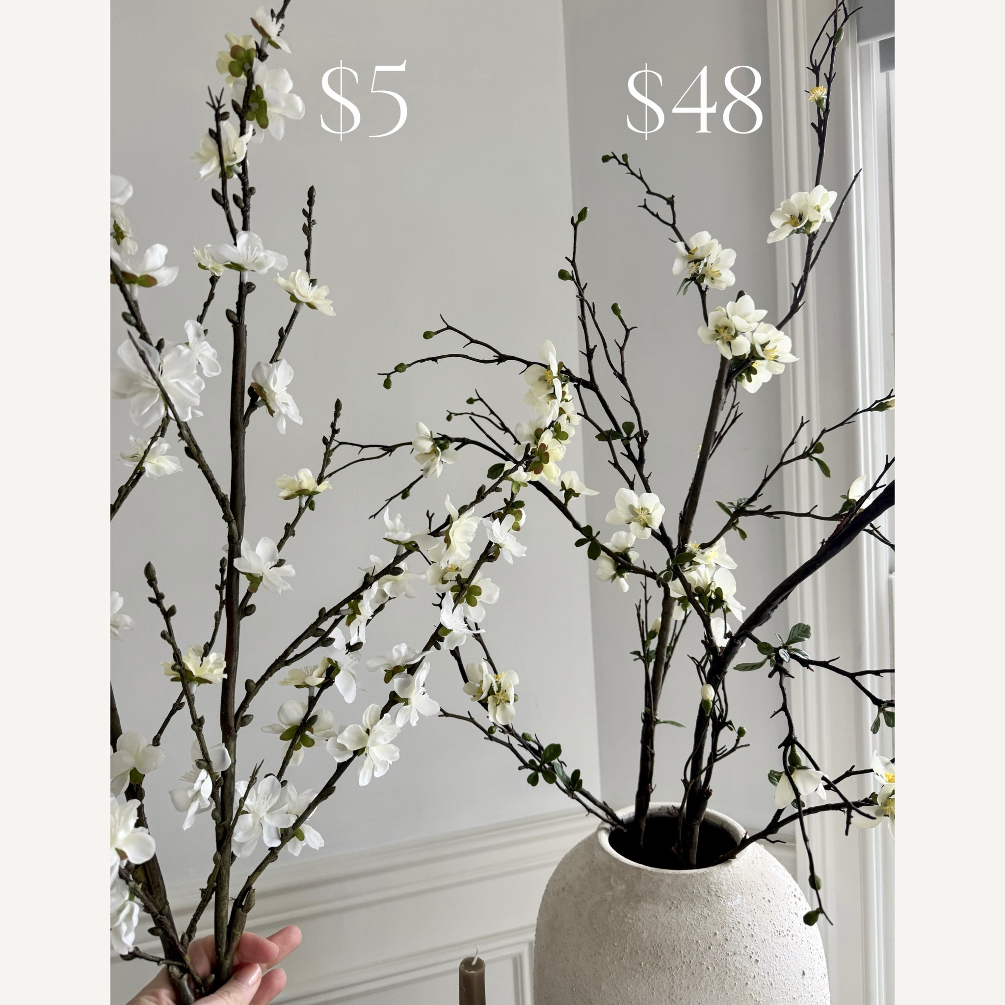 Designer-inspired faux stems for less—perfect for styling shelves, consoles, and coffee tables ✨ #budgetdecor #homestyling #neutraldecor #shelfdecor #homeinspo

#LTKHome #LTKOver40 #LTKSaleAlert