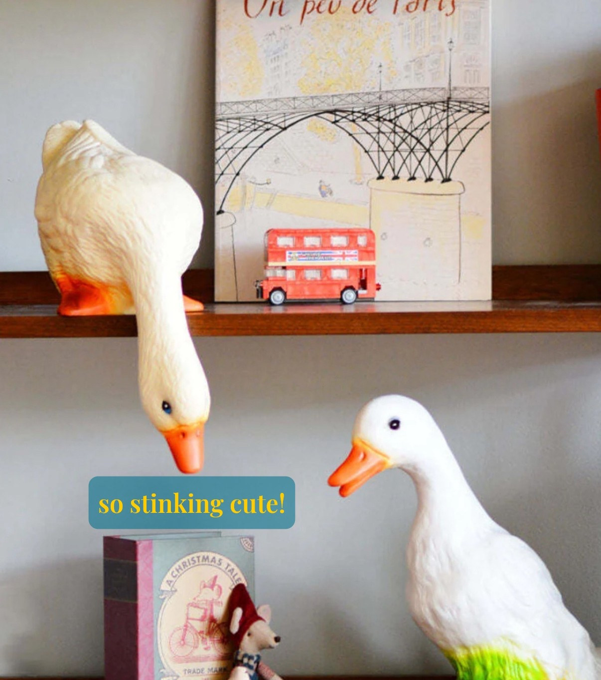 have you seen anything cuter?!