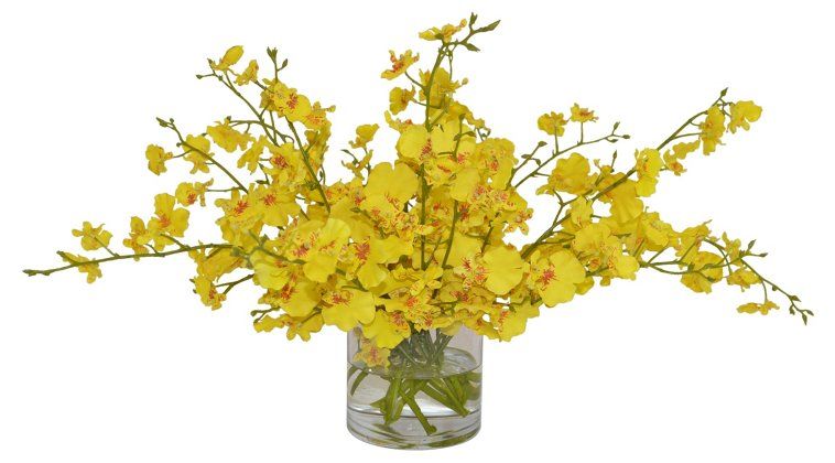 24" Yellow Orchids Arrangement , Faux | One Kings Lane