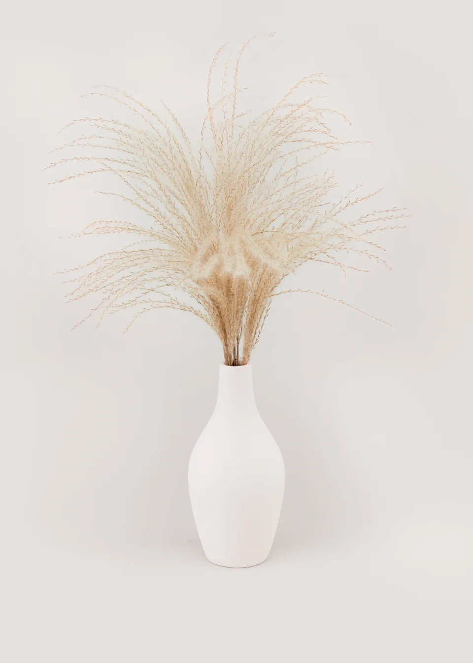 Faux Pampas in Cream Vase | Matalan (UK)