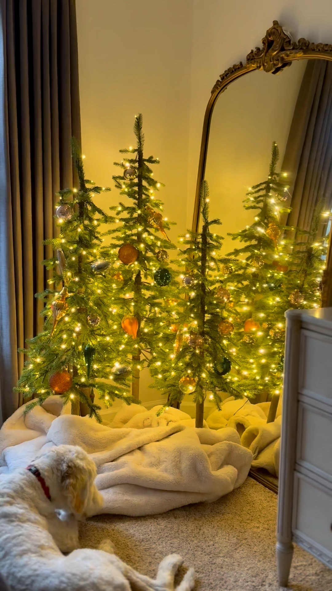 This set of 3 mini trees have realistic tips and a twinkle light option, which I LOVE!  Easy to set up. 

@kingofchristmas #kingofchristmas 

#LTKHoliday #LTKGiftGuide #LTKHome