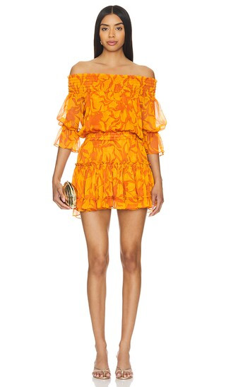 Darla Dress in Atlas Floral Persimmon | Revolve Clothing (Global)