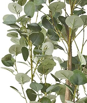 Christopher Knight Home Rebecca Artificial Eucalyptus Tree, 6' x 2.5', Green + Black | Amazon (US)