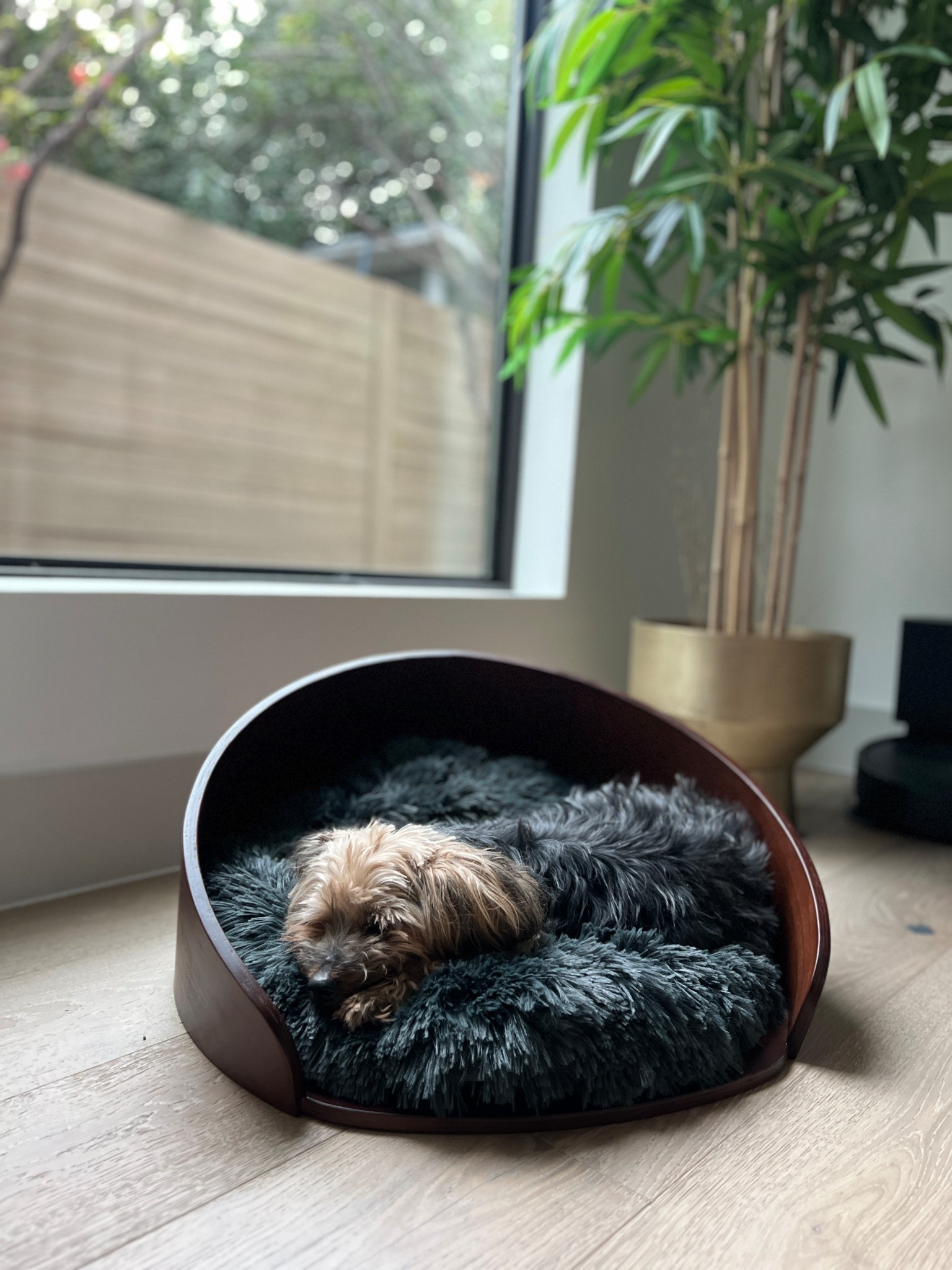 Perfect modern dog bed for any pet lover  

#LTKHome #LTKSaleAlert #LTKCyberWeek