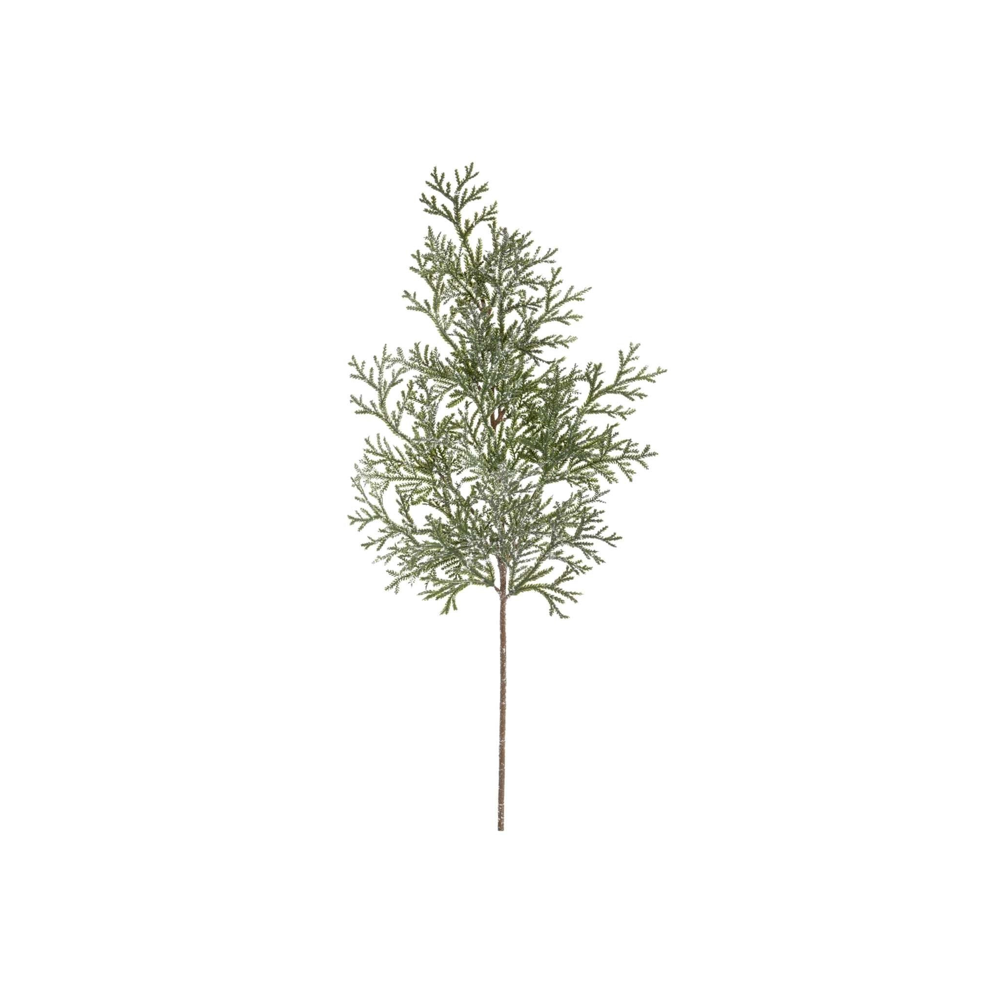 Frosted Cedar Branch | Foundation Goods