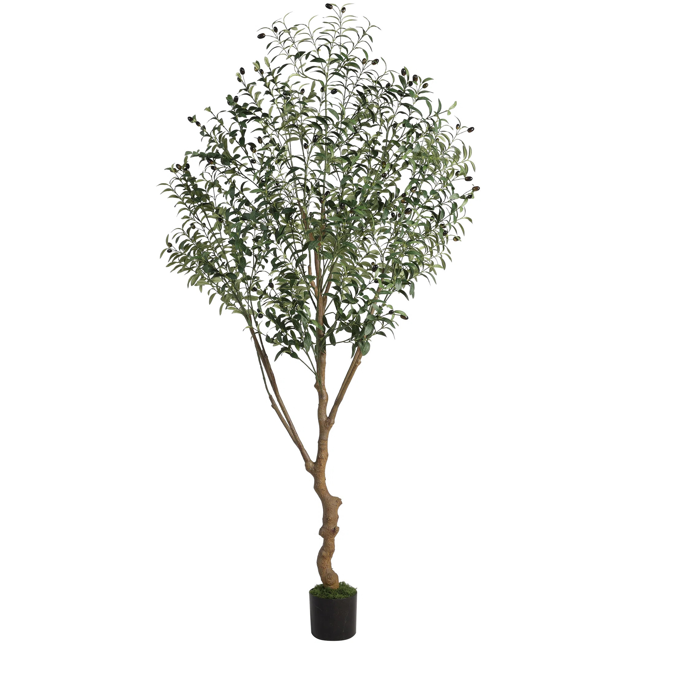 Albee 84'' Faux Olive Tree in Pot, Artificial Olive Plants for Home & Office, Potted Olive for De... | Wayfair North America