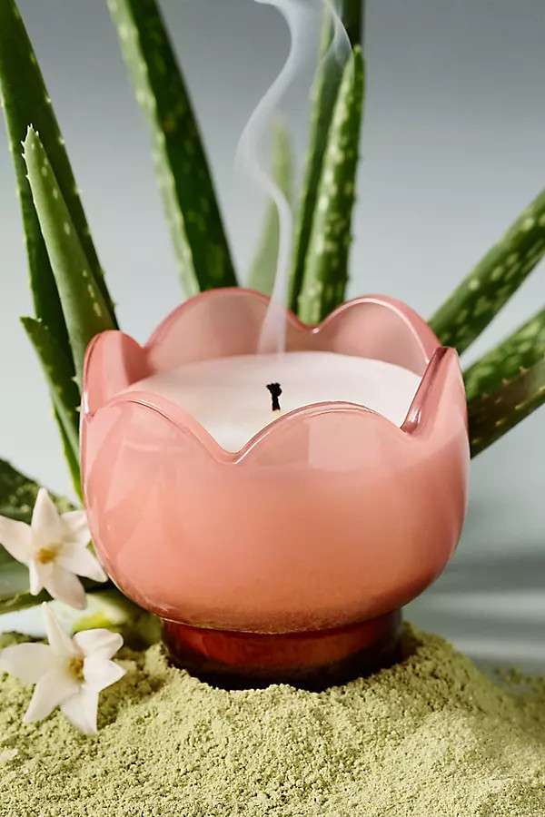 Fruity Cactus Flower Glass Candle | Anthropologie (US)