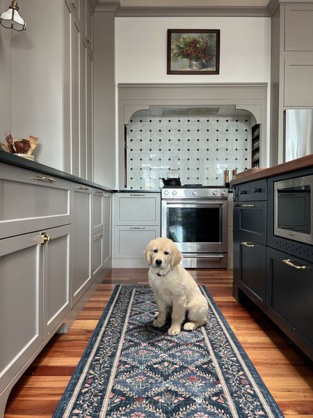 Ruggable runner in the kitchen, William Morris collection

Sink, art, faucet, hardware 

#LTKhome