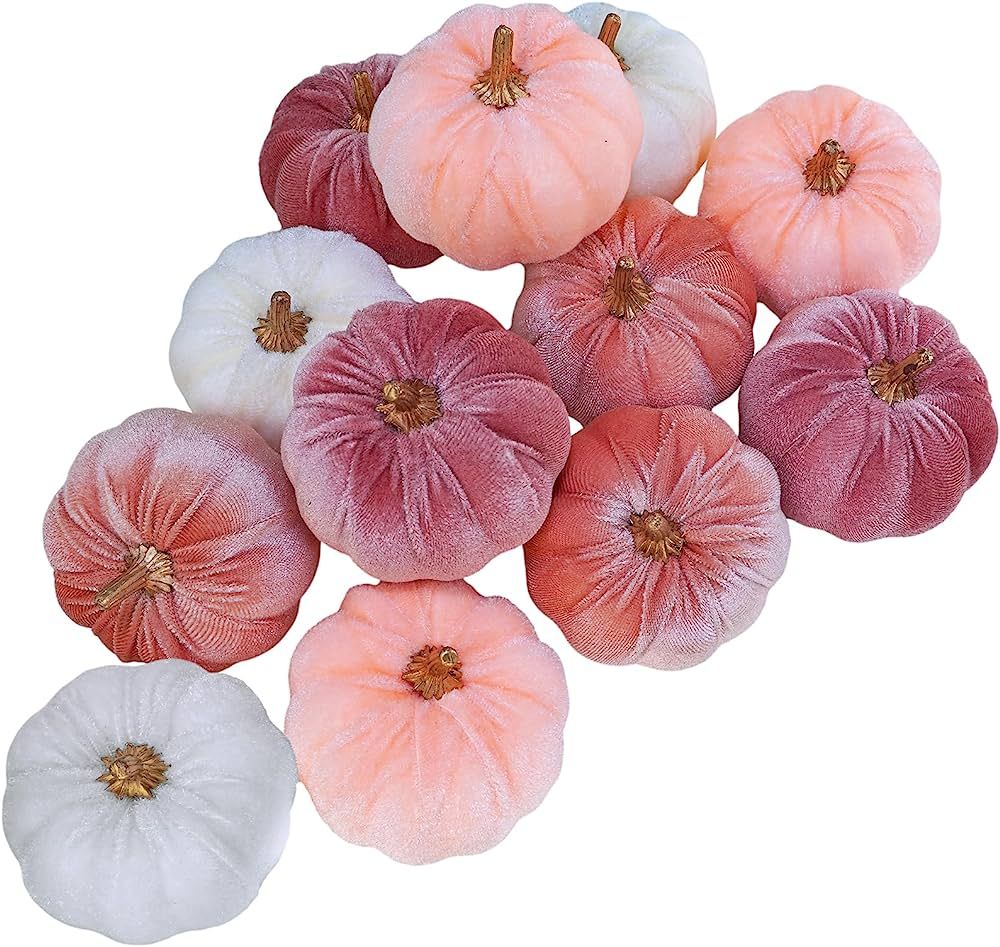Winlyn 12 Pcs Small Rustic Faux Velvet Pumpkins Decorative Blush Coral Pink Peach Ivory Fabric Pu... | Amazon (US)