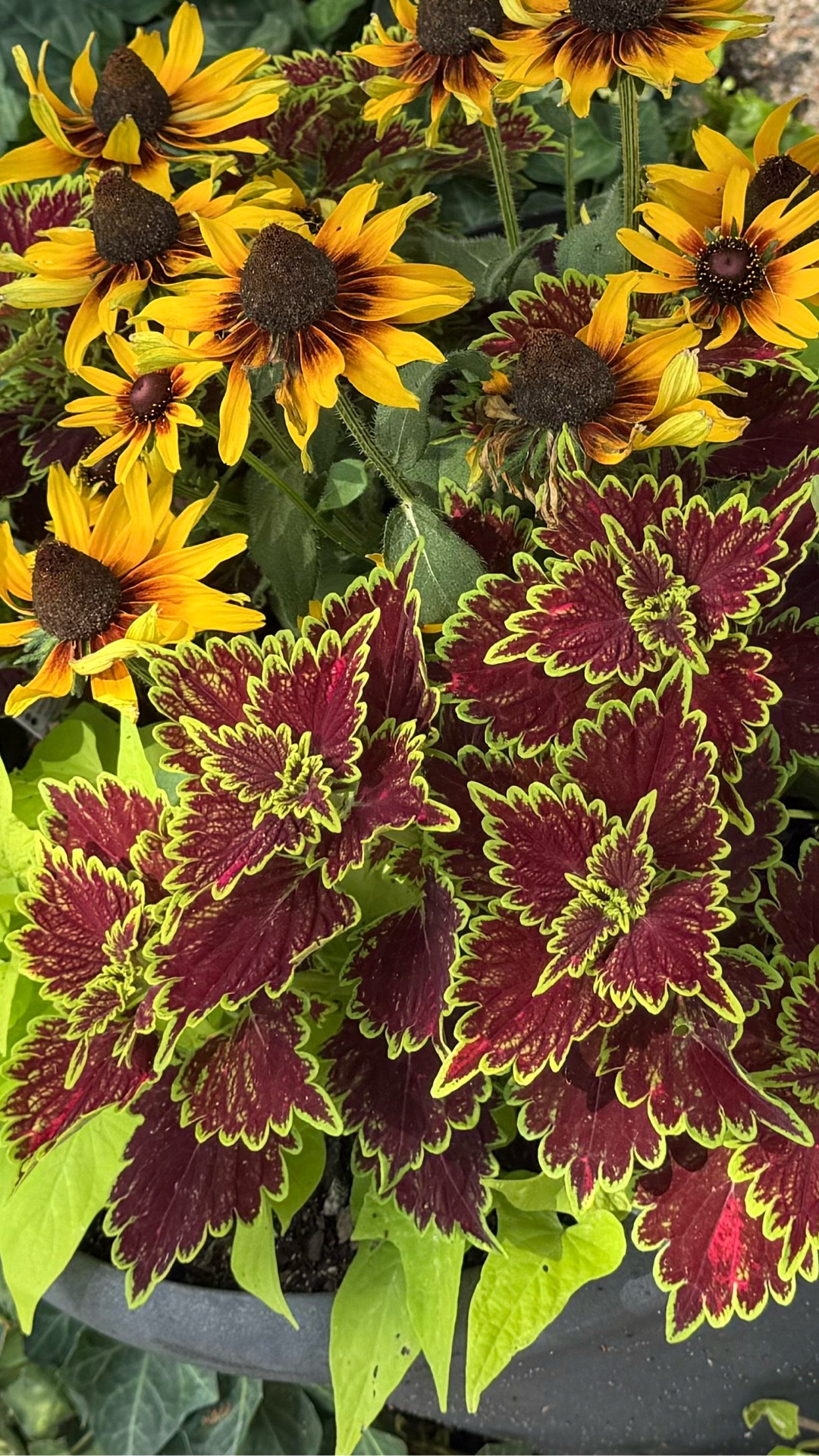 #today #life #daily #dailylife #life 