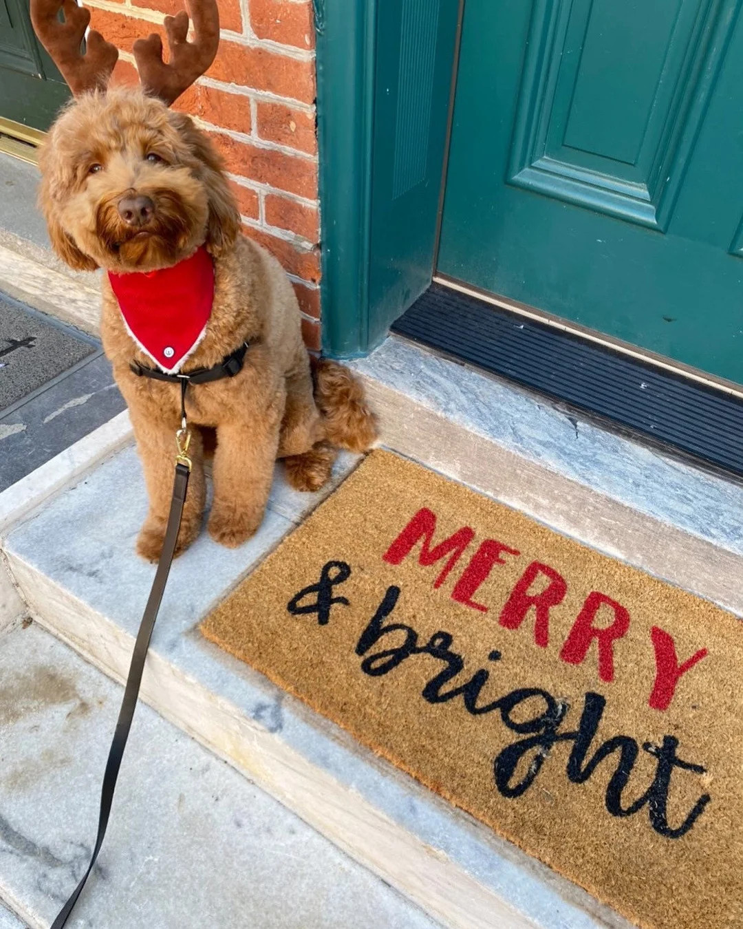 Merry and Bright Doormat, Holiday Doormat, Christmas Funny Doormat, Cute Doormat, Home Decor, Doo... | Etsy (US)