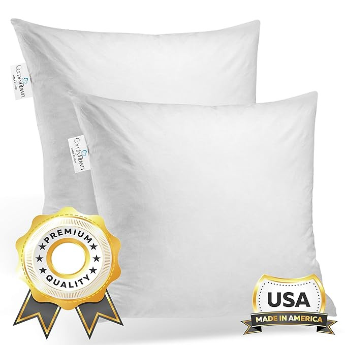ComfyDown Set of Two, 95% Feather 5% Down, 22 X 22 Square Decorative Pillow Insert, Sham Stuffer ... | Amazon (US)