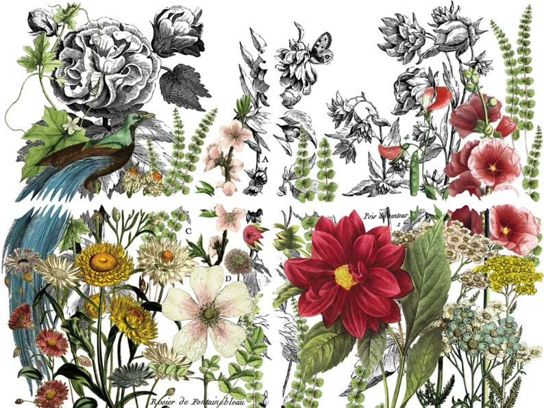 IOD Midnight Garden Rub on transfer Iron Orchid Designs Peacock Floral Full Color Furniture Trans... | Etsy (US)