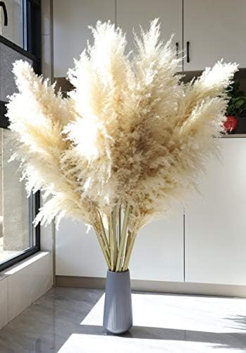 NaturalNH 3 Stems of Fluffy Natural Dried Pampas Grass Decor-Pampas Grass Large-Beige Pompas Gras... | Amazon (US)