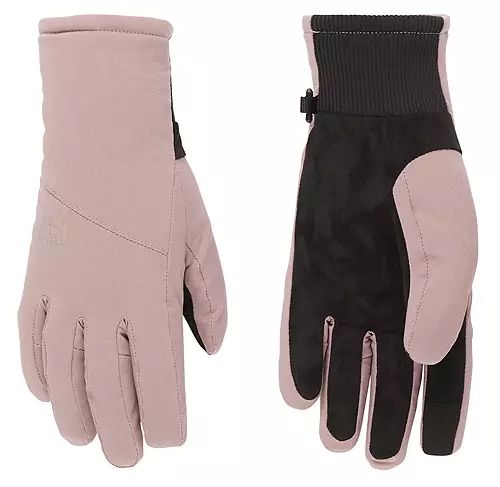 The North Face Women's Shelbe Raschel Etip Gloves | Dick's Sporting Goods